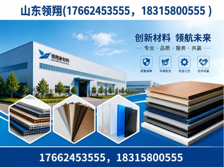 琼中山东领翔展示图